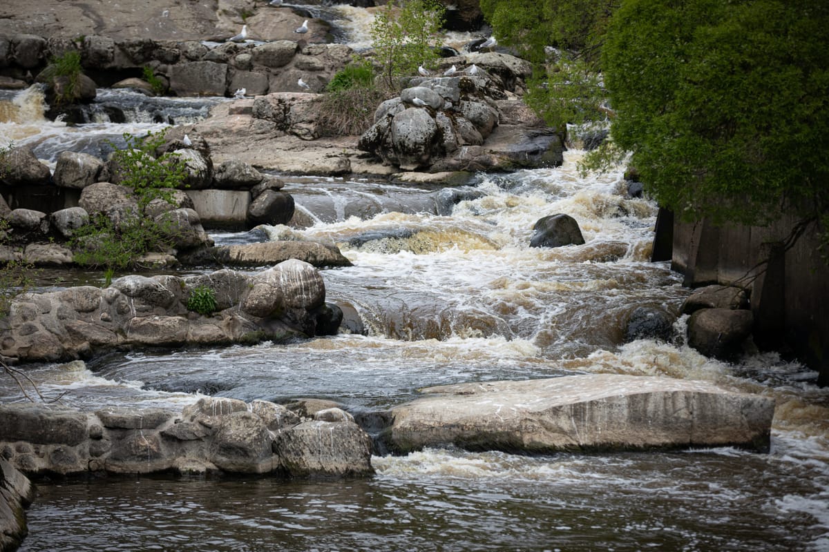 Vanhankaupunginkoski